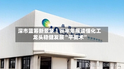 深市蓝筹新景象丨从半年报读懂化工龙头稳健发展“平衡术”-第3张图片
