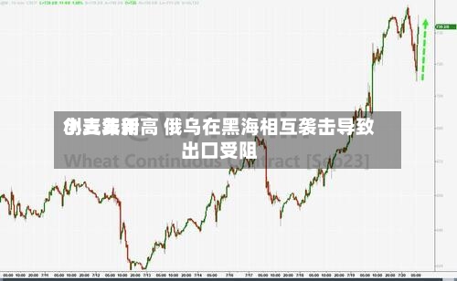 小麦费用创三年新高 俄乌在黑海相互袭击导致出口受阻-第3张图片