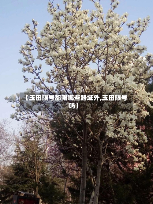 【玉田限号都限哪些路域外,玉田限号吗】