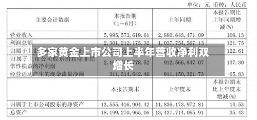 多家黄金上市公司上半年营收净利双增长-第3张图片