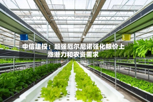 中信建投：超强厄尔尼诺强化粮价上涨潜力和农资需求-第2张图片
