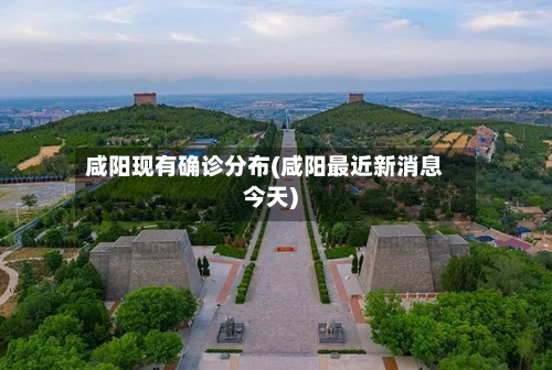 咸阳现有确诊分布(咸阳最近新消息今天)-第2张图片