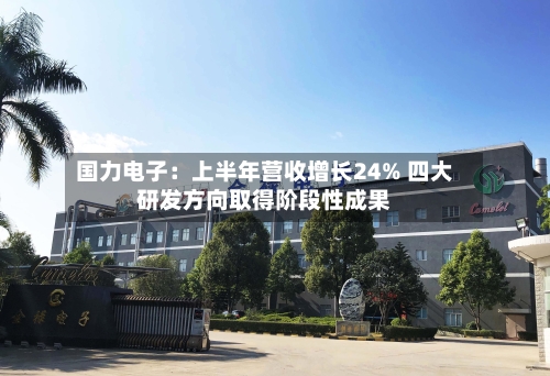 国力电子：上半年营收增长24% 四大研发方向取得阶段性成果-第1张图片