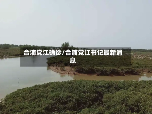 合浦党江确诊/合浦党江书记最新消息