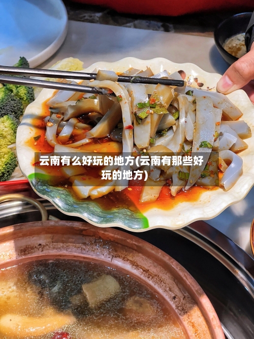 云南有么好玩的地方(云南有那些好玩的地方)