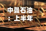 中曼石油：上半年净利润9899.11万元	，同比减少67.03%-第2张图片