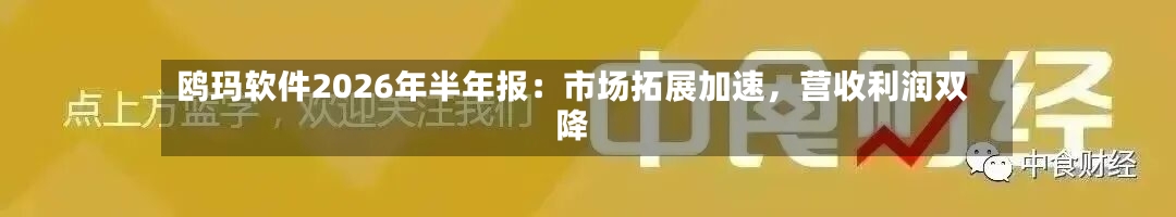 鸥玛软件2026年半年报：市场拓展加速，营收利润双降
