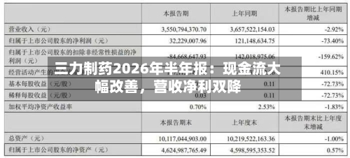三力制药2026年半年报：现金流大幅改善，营收净利双降-第3张图片