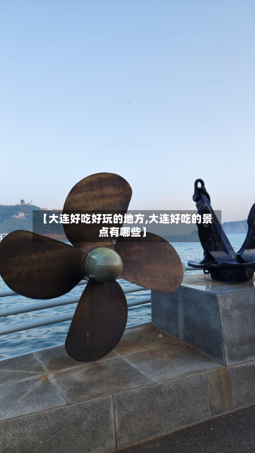 【大连好吃好玩的地方,大连好吃的景点有哪些】