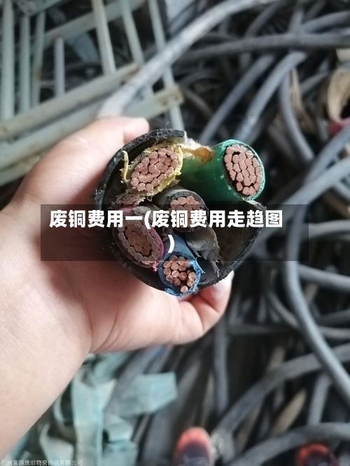 废铜费用一(废铜费用走趋图)