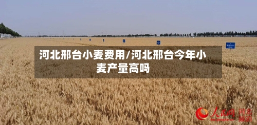 河北邢台小麦费用/河北邢台今年小麦产量高吗-第3张图片