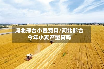 河北邢台小麦费用/河北邢台今年小麦产量高吗-第2张图片