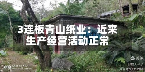 3连板青山纸业：近来生产经营活动正常-第3张图片