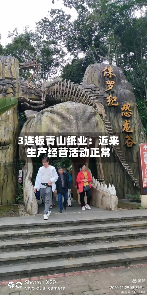 3连板青山纸业：近来生产经营活动正常-第1张图片