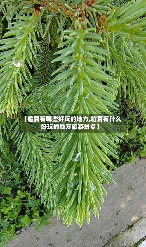 【临夏有哪些好玩的地方,临夏有什么好玩的地方旅游景点】-第2张图片