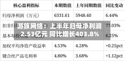 游族网络：上半年归母净利润2.53亿元 同比增长403.8%-第2张图片