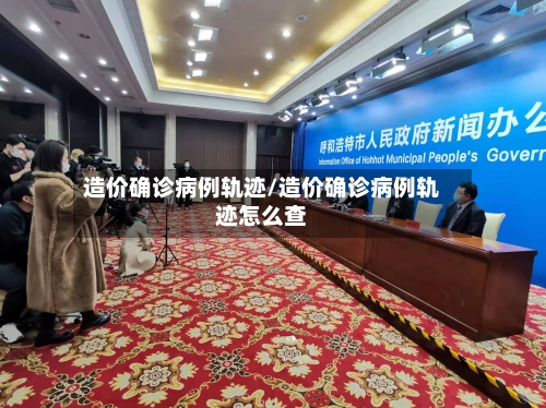 造价确诊病例轨迹/造价确诊病例轨迹怎么查-第3张图片