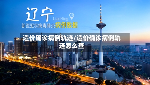 造价确诊病例轨迹/造价确诊病例轨迹怎么查-第2张图片