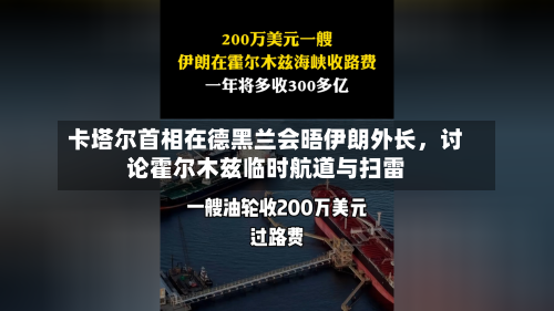 卡塔尔首相在德黑兰会晤伊朗外长	，讨论霍尔木兹临时航道与扫雷-第3张图片