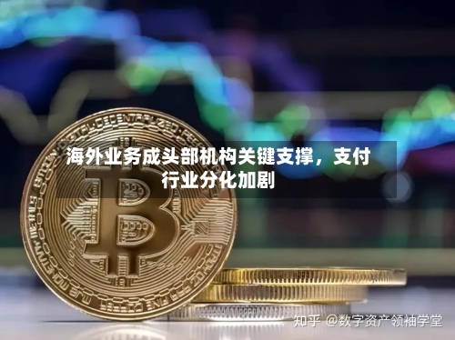 海外业务成头部机构关键支撑，支付行业分化加剧
