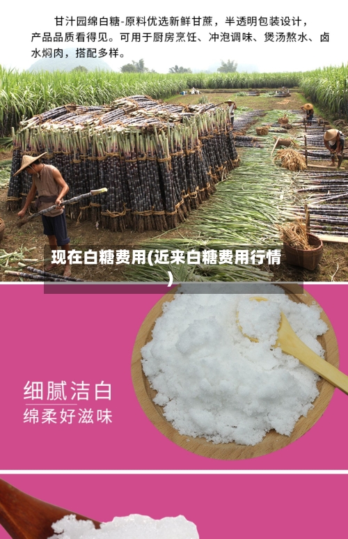 现在白糖费用(近来白糖费用行情)-第3张图片
