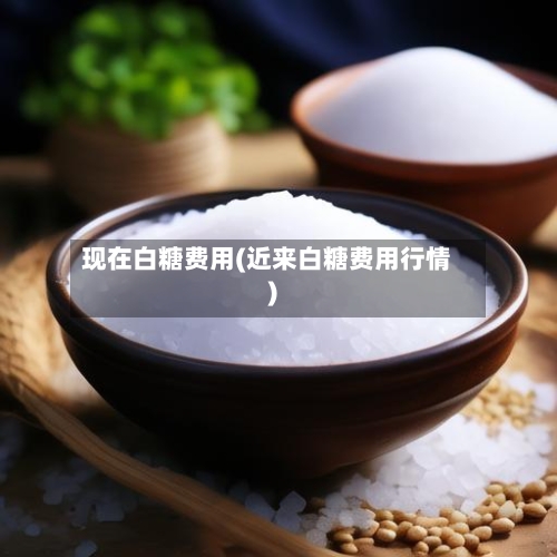 现在白糖费用(近来白糖费用行情)