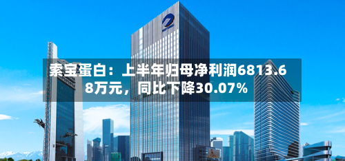 索宝蛋白：上半年归母净利润6813.68万元，同比下降30.07%-第3张图片