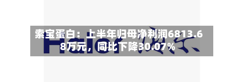 索宝蛋白：上半年归母净利润6813.68万元	，同比下降30.07%-第2张图片