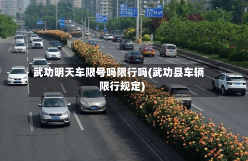 武功明天车限号吗限行吗(武功县车辆限行规定)