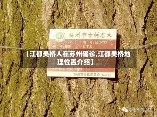 【江都吴桥人在苏州确诊,江都吴桥地理位置介绍】