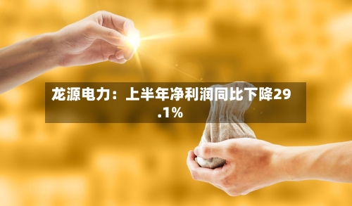 龙源电力：上半年净利润同比下降29.1%-第1张图片