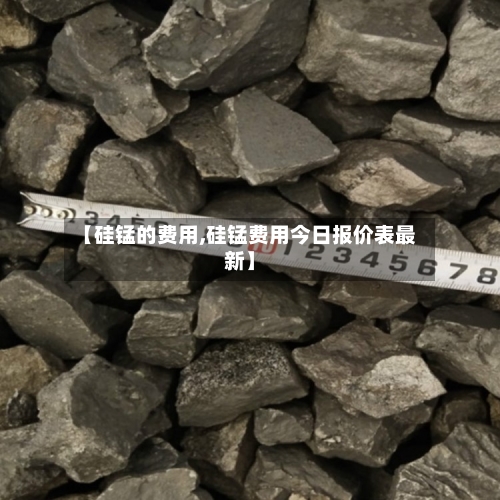 【硅锰的费用,硅锰费用今日报价表最新】