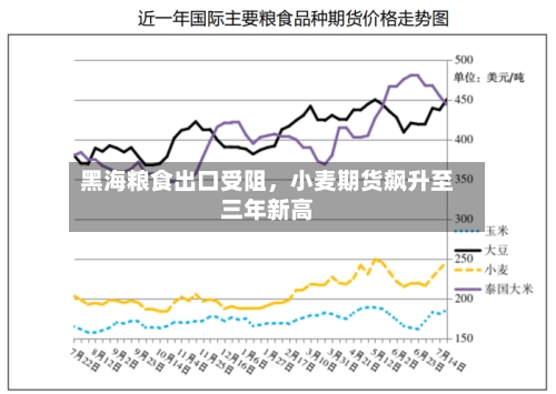 黑海粮食出口受阻	，小麦期货飙升至三年新高-第1张图片