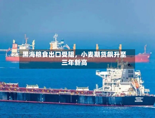 黑海粮食出口受阻，小麦期货飙升至三年新高-第2张图片