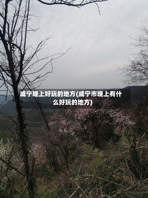 咸宁晚上好玩的地方(咸宁市晚上有什么好玩的地方)