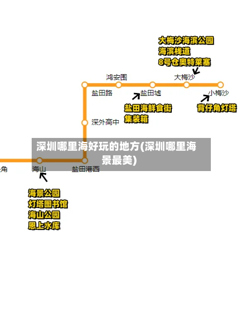 深圳哪里海好玩的地方(深圳哪里海景最美)