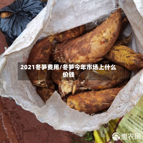 2021冬笋费用/冬笋今年市场上什么价钱-第3张图片