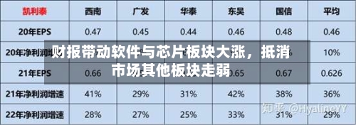 财报带动软件与芯片板块大涨，抵消市场其他板块走弱