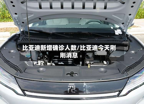 比亚迪新增确诊人数/比亚迪今天刚刚消息