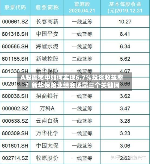 A股震荡中如何实现6.7％投资收益率？新华保险业绩会透露三个关键词-第2张图片