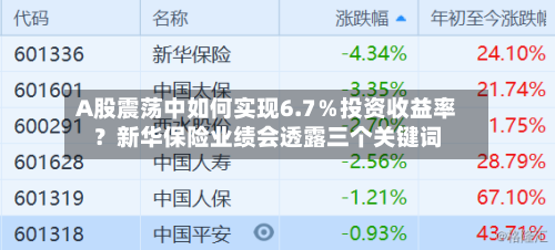 A股震荡中如何实现6.7％投资收益率？新华保险业绩会透露三个关键词-第3张图片