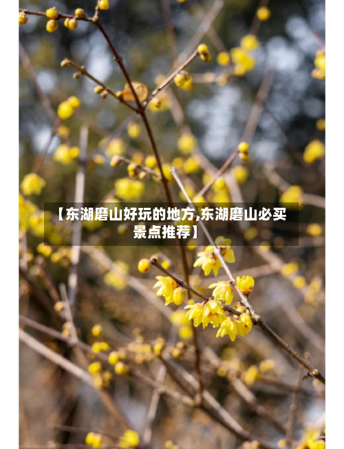 【东湖磨山好玩的地方,东湖磨山必买景点推荐】