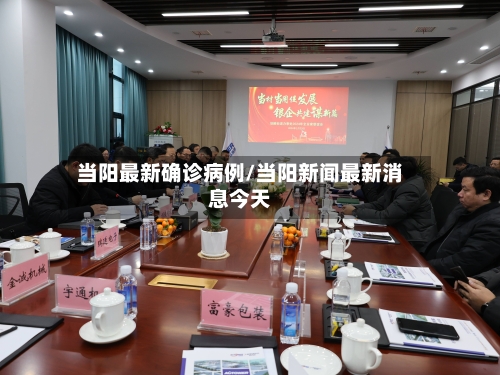 当阳最新确诊病例/当阳新闻最新消息今天-第3张图片
