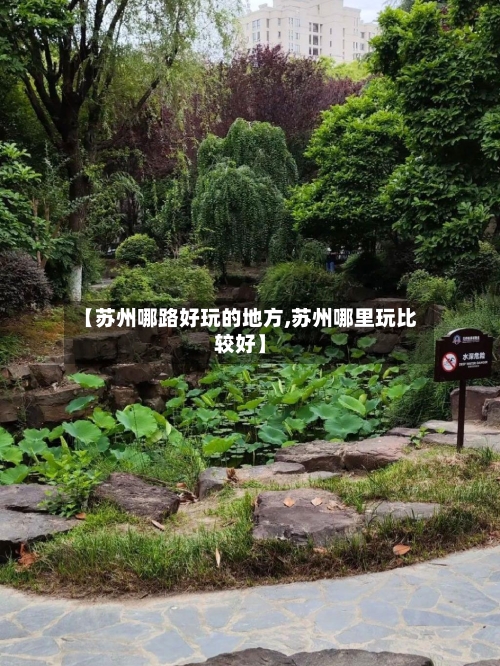 【苏州哪路好玩的地方,苏州哪里玩比较好】