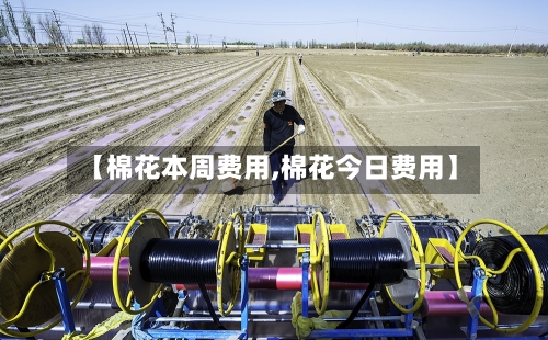 【棉花本周费用,棉花今日费用】-第3张图片