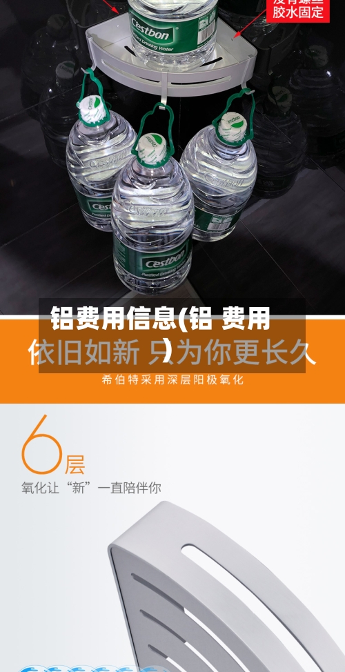 铝费用信息(铝 费用)-第2张图片