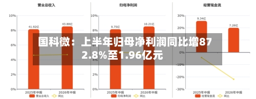 国科微：上半年归母净利润同比增872.8%至1.96亿元-第2张图片