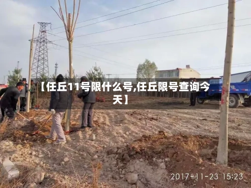 【任丘11号限什么号,任丘限号查询今天】-第2张图片