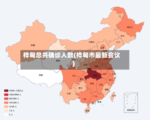 桦甸总共确诊人数(桦甸市最新会议)-第2张图片