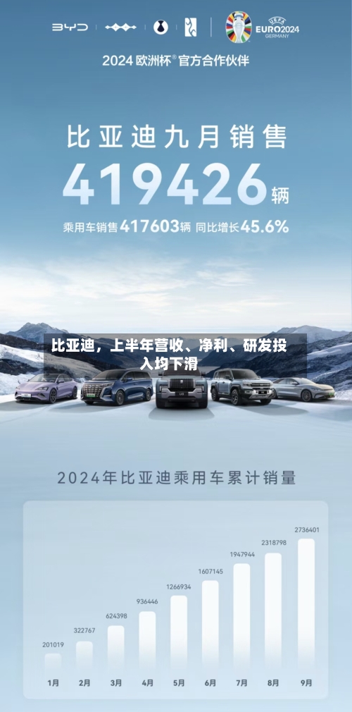比亚迪，上半年营收、净利	、研发投入均下滑-第2张图片